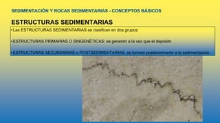 SEDIMENTACIÓN Y ROCAS SEDIMENTARIAS - CONCEPTOS BÁSICOS
ESTRUCTURAS SEDIMENTARIAS
• Las ESTRUCTURAS SEDIMENTARIAS se clasifican en dos grupos:
• ESTRUCTURAS PRIMARIAS O SINGENÉTICAS: se generan a la vez que el depósito
• ESTRUCTURAS SECUNDARIAS o POSTSEDIMENTARIAS: se forman posteriormente a la sedimentación.
 