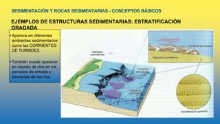 SEDIMENTACIÓN Y ROCAS SEDIMENTARIAS - CONCEPTOS BÁSICOS
EJEMPLOS DE ESTRUCTURAS SEDIMENTARIAS: ESTRATIFICACIÓN
GRADADA
•Aparece en diferentes
ambientes sedimentarios
como las CORRIENTES
DE TURBIDEZ.
•También puede aparecer
en cauces de ríos en los
períodos de crecida y
decrecida de los ríos.
 