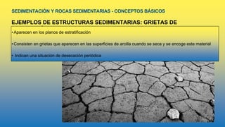 SEDIMENTACIÓN Y ROCAS SEDIMENTARIAS - CONCEPTOS BÁSICOS
EJEMPLOS DE ESTRUCTURAS SEDIMENTARIAS: GRIETAS DE
DESECACIÓN
• Aparecen en los planos de estratificación
• Consisten en grietas que aparecen en las superficies de arcilla cuando se seca y se encoge este material
• Indican una situación de desecación periódica
 
