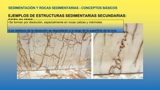 SEDIMENTACIÓN Y ROCAS SEDIMENTARIAS - CONCEPTOS BÁSICOS
EJEMPLOS DE ESTRUCTURAS SEDIMENTARIAS SECUNDARIAS:
ESTILOLITOS
•Se forman por disolución, especialmente en rocas calizas y mármoles
•Los residuos de la disolución se depositarán a lo largo de la superficie de la roca
 