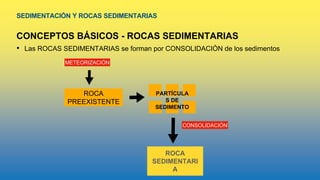 SEDIMENTACIÓN Y ROCAS SEDIMENTARIAS
CONCEPTOS BÁSICOS - ROCAS SEDIMENTARIAS
• Las ROCAS SEDIMENTARIAS se forman por CONSOLIDACIÓN de los sedimentos
ROCA
PREEXISTENTE
METEORIZACIÓN
PARTÍCULA
S DE
SEDIMENTO
CONSOLIDACIÓN
ROCA
SEDIMENTARI
A
 