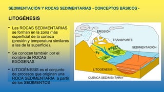 SEDIMENTACIÓN Y ROCAS SEDIMENTARIAS - CONCEPTOS BÁSICOS -
LITOGÉNESIS
• Las ROCAS SEDIMENTARIAS
se forman en la zona más
superficial de la corteza
(presión y temperatura similares
a las de la superficie).
• Se conocen también por el
nombre de ROCAS
EXÓGENAS
• LITOGÉNESIS es el conjunto
de procesos que originan una
ROCA SEDIMENTARIA a partir
de los SEDIMENTOS
 
