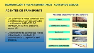 SEDIMENTACIÓN Y ROCAS SEDIMENTARIAS - CONCEPTOS BÁSICOS
AGENTES DE TRANSPORTE
• Las partículas e iones obtenidos tras
la meteorización son transportados
por diferentes AGENTES DE
TRANSPORTE: ríos, glaciares,
viento, etc.
• Dependiendo del agente que realice
el transporte el resultado de
transformación o deposición será
diferente.
 