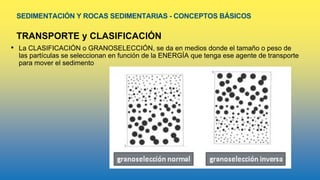 SEDIMENTACIÓN Y ROCAS SEDIMENTARIAS - CONCEPTOS BÁSICOS
TRANSPORTE y CLASIFICACIÓN
• La CLASIFICACIÓN o GRANOSELECCIÓN, se da en medios donde el tamaño o peso de
las partículas se seleccionan en función de la ENERGÍA que tenga ese agente de transporte
para mover el sedimento
 