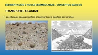 SEDIMENTACIÓN Y ROCAS SEDIMENTARIAS - CONCEPTOS BÁSICOS
TRANSPORTE GLACIAR
• Los glaciares apenas modifican el sedimento ni lo clasifican por tamaños
 