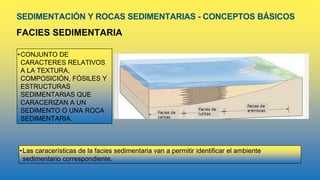 SEDIMENTACIÓN Y ROCAS SEDIMENTARIAS - CONCEPTOS BÁSICOS
FACIES SEDIMENTARIA
•CONJUNTO DE
CARACTERES RELATIVOS
A LA TEXTURA,
COMPOSICIÓN, FÓSILES Y
ESTRUCTURAS
SEDIMENTARIAS QUE
CARACERIZAN A UN
SEDIMENTO O UNA ROCA
SEDIMENTARIA.
•Las caracerísticas de la facies sedimentaria van a permitir identificar el ambiente
sedimentario correspondiente.
 