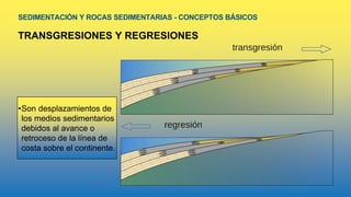 SEDIMENTACIÓN Y ROCAS SEDIMENTARIAS - CONCEPTOS BÁSICOS
TRANSGRESIONES Y REGRESIONES
•Son desplazamientos de
los medios sedimentarios
debidos al avance o
retroceso de la línea de
costa sobre el continente.
 