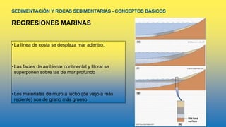 SEDIMENTACIÓN Y ROCAS SEDIMENTARIAS - CONCEPTOS BÁSICOS
REGRESIONES MARINAS
•La línea de costa se desplaza mar adentro.
•Las facies de ambiente continental y litoral se
superponen sobre las de mar profundo
•Los materiales de muro a techo (de viejo a más
reciente) son de grano más grueso
 