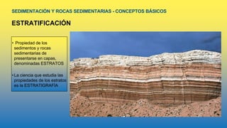 SEDIMENTACIÓN Y ROCAS SEDIMENTARIAS - CONCEPTOS BÁSICOS
ESTRATIFICACIÓN
• Propiedad de los
sedimentos y rocas
sedimentarias de
presentarse en capas,
denominadas ESTRATOS
• La ciencia que estudia las
propiedades de los estratos
es la ESTRATIGRAFÍA
 