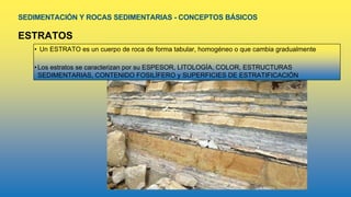 SEDIMENTACIÓN Y ROCAS SEDIMENTARIAS - CONCEPTOS BÁSICOS
ESTRATOS
• Un ESTRATO es un cuerpo de roca de forma tabular, homogéneo o que cambia gradualmente
•Los estratos se caracterizan por su ESPESOR, LITOLOGÍA, COLOR, ESTRUCTURAS
SEDIMENTARIAS, CONTENIDO FOSILÍFERO y SUPERFICIES DE ESTRATIFICACIÓN
 