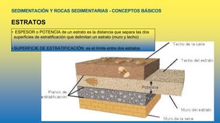 SEDIMENTACIÓN Y ROCAS SEDIMENTARIAS - CONCEPTOS BÁSICOS
ESTRATOS
• ESPESOR o POTENCIA de un estrato es la distancia que separa las dos
superficies de estratificación que delimitan un estrato (muro y techo)
•SUPERFICIE DE ESTRATIFICACIÓN es el límite entre dos estratos
 