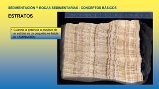 SEDIMENTACIÓN Y ROCAS SEDIMENTARIAS - CONCEPTOS BÁSICOS
ESTRATOS
• Cuando la potencia o espesor de
un estrato es uy pequeña se habla
de LAMINACIÓN
 