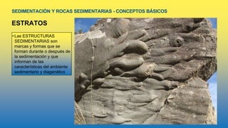 SEDIMENTACIÓN Y ROCAS SEDIMENTARIAS - CONCEPTOS BÁSICOS
ESTRATOS
•Las ESTRUCTURAS
SEDIMENTARIAS son
marcas y formas que se
forman durante o después de
la sedimentación y que
informan de las
características del ambiente
sedimentario y diagenético
 