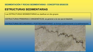 SEDIMENTACIÓN Y ROCAS SEDIMENTARIAS - CONCEPTOS BÁSICOS
ESTRUCTURAS SEDIMENTARIAS
•Las ESTRUCTURAS SEDIMENTARIAS se clasifican en dos grupos:
•ESTRUCTURAS PRIMARIAS O SINGENÉTICAS: se generan a la vez que el depósito
•ESTRUCTURAS SECUNDARIAS o POSTSEDIMENTARIAS: se forman posteriormente a la sedimentación.
 