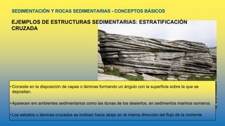 SEDIMENTACIÓN Y ROCAS SEDIMENTARIAS - CONCEPTOS BÁSICOS
EJEMPLOS DE ESTRUCTURAS SEDIMENTARIAS: ESTRATIFICACIÓN
CRUZADA
• Consiste en la disposición de capas o láminas formando un ángulo con la superficie sobre la que se
depositan.
• Aparecen em ambientes sedimentarios como las dunas de los desiertos, en sedimentos marinos someros.
• Los estratos o láminas cruzados se inclinan hacia abajo en al misma dirección del flujo de la corriente
 