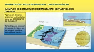 SEDIMENTACIÓN Y ROCAS SEDIMENTARIAS - CONCEPTOS BÁSICOS
EJEMPLOS DE ESTRUCTURAS SEDIMENTARIAS: ESTRATIFICACIÓN
GRADADA
•Aparece en diferentes
ambientes sedimentarios
como las CORRIENTES
DE TURBIDEZ.
•También puede aparecer
en cauces de ríos en los
períodos de crecida y
decrecida de los ríos.
 