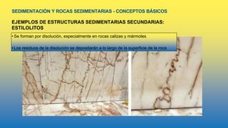 SEDIMENTACIÓN Y ROCAS SEDIMENTARIAS - CONCEPTOS BÁSICOS
EJEMPLOS DE ESTRUCTURAS SEDIMENTARIAS SECUNDARIAS:
ESTILOLITOS
•Se forman por disolución, especialmente en rocas calizas y mármoles
•Los residuos de la disolución se depositarán a lo largo de la superficie de la roca
 