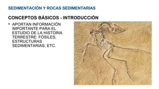 SEDIMENTACIÓN Y ROCAS SEDIMENTARIAS
CONCEPTOS BÁSICOS - INTRODUCCIÓN
• APORTAN INFORMACIÓN
IMPORTANTE PARA EL
ESTUDIO DE LA HISTORIA
TERRESTRE: FÓSILES,
ESTRUCTURAS
SEDIMENTARIAS, ETC.
 