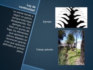 Ejemplo
Trabajo aplicado
 