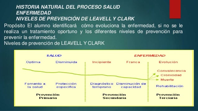 Proceso s y e de leavell y clark