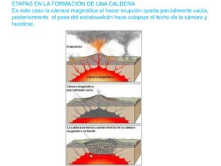 ETAPAS EN LA FORMACIÓN DE UNA CALDERA
En este caso la cámara magmática al hacer erupción queda parcialmente vacía,
posteriormente el peso del estratovolcán hace colapsar el techo de la cámara y
hundirse.
 