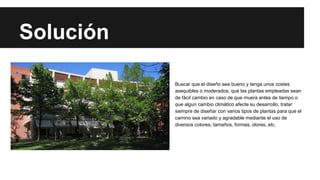 Solución
Buscar que el diseño sea bueno y tenga unos costes
asequibles o moderados, que las plantas empleadas sean
de fácil cambio en caso de que muera antes de tiempo o
que algun cambio climático afecte su desarrollo, tratar
siempre de diseñar con varios tipos de plantas para que el
camino sea variado y agradable mediante el uso de
diversos colores, tamaños, formas, olores, etc.
 