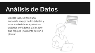 Análisis de Datos
En esta fase, se hace una
encuesta acerca de los árboles y
sus características a personas
expertas en el tema, para saber
qué árboles finalmente se van a
plantar.
 