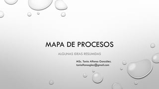 MAPA DE PROCESOS
ALGUNAS IDEAS RESUMIDAS
MSc. Tania Alfonso González.
tanialfonsoglez@gmail.com
 