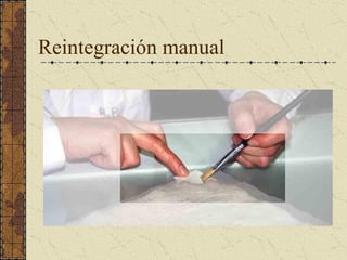 Reintegración manual
 