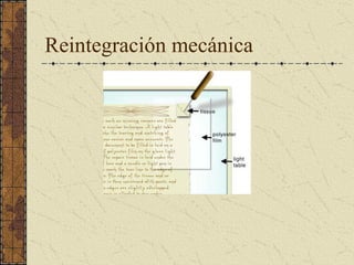 Reintegración mecánica
 