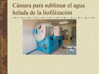 Cámara para sublimar el agua 
helada de la liofilización
 