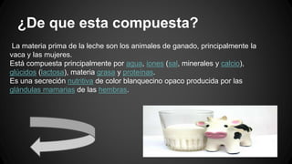 ¿De que esta compuesta?
La materia prima de la leche son los animales de ganado, principalmente la
vaca y las mujeres.
Está compuesta principalmente por agua, iones (sal, minerales y calcio),
glúcidos (lactosa), materia grasa y proteínas.
Es una secreción nutritiva de color blanquecino opaco producida por las
glándulas mamarias de las hembras.
 