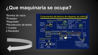 ¿Que maquinaria se ocupa?
*Bomba de vacío
*Pulsador
*Regulador
*Recolección de leche:
1-Cubeta
2-Recibidor
 