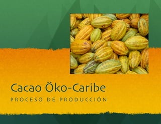 Cacao Öko-Caribe	

P R O C E S O D E P R O D U C C I Ó N 	

 