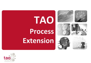 TAO
  Process
Extension
 