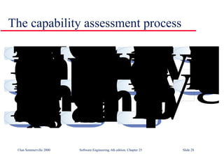 The capability assessment process 