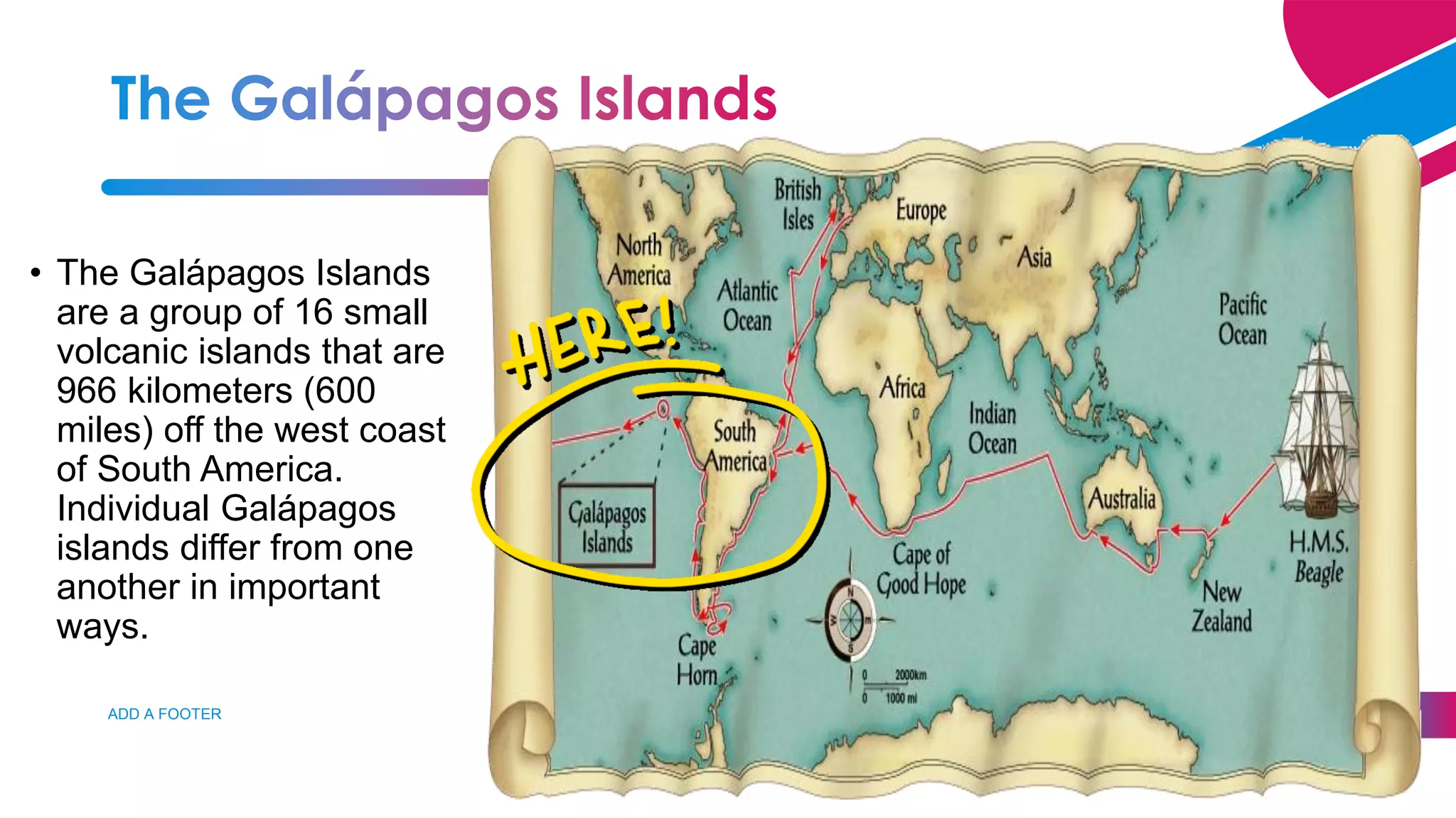 ADD A FOOTER 10
• The Galápagos Islands
are a group of 16 small
volcanic islands that are
966 kilometers (600
miles) off the west coast
of South America.
Individual Galápagos
islands differ from one
another in important
ways.
 
