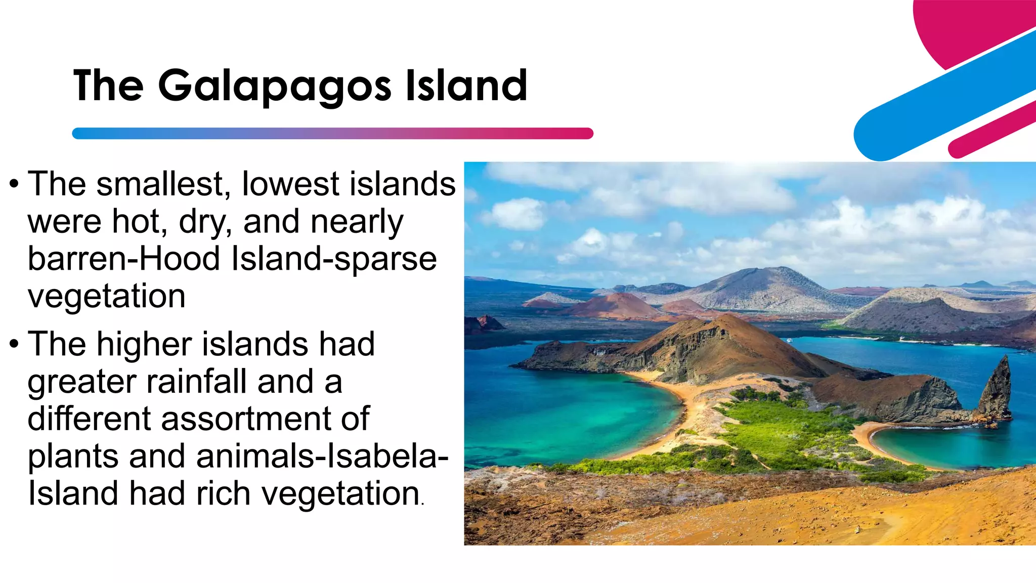 The Galapagos Island
• The smallest, lowest islands
were hot, dry, and nearly
barren-Hood Island-sparse
vegetation
• The higher islands had
greater rainfall and a
different assortment of
plants and animals-Isabela-
Island had rich vegetation.
 