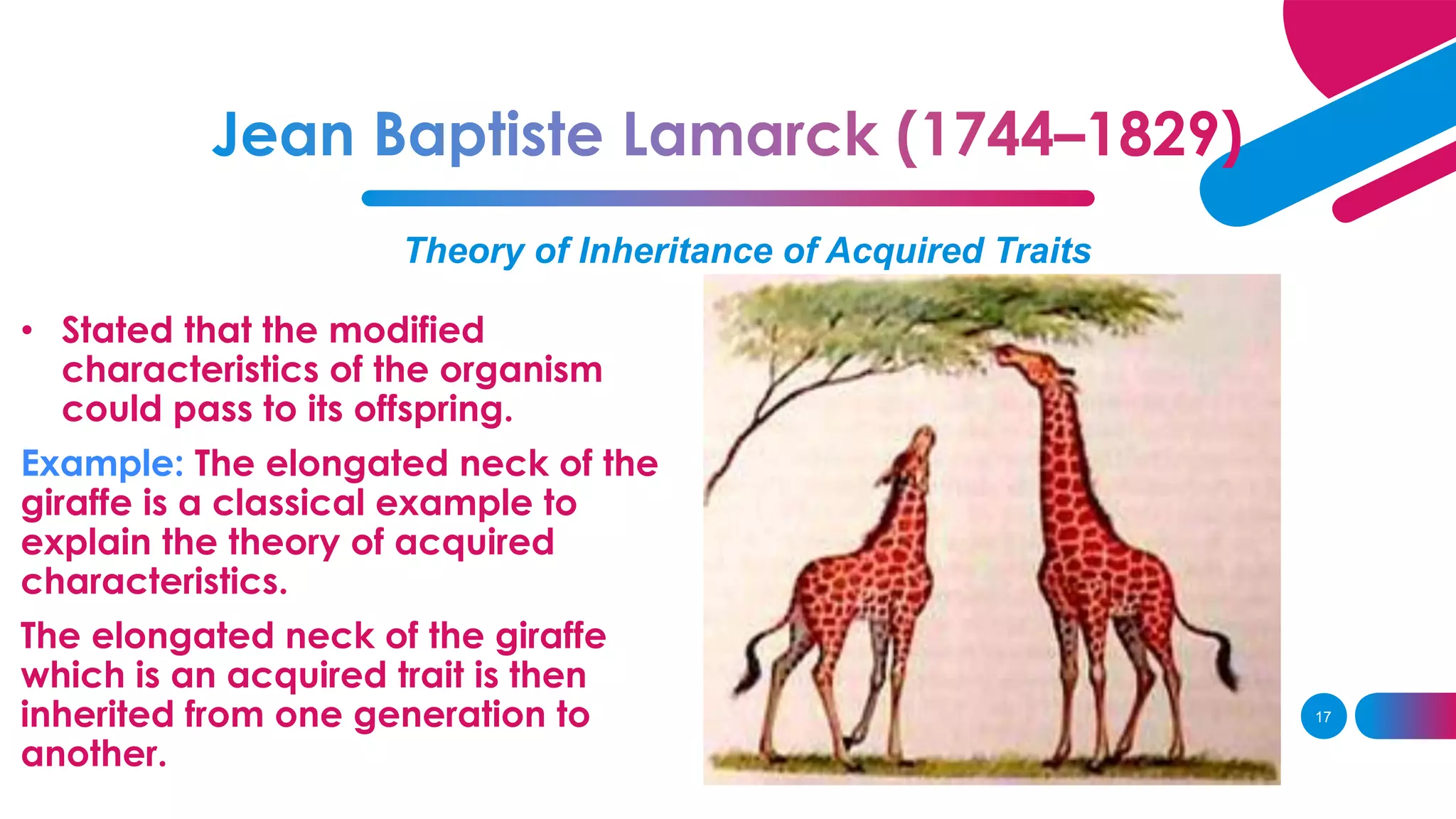 Theory of Inheritance of Acquired Traits
• Stated that the modified
characteristics of the organism
could pass to its offspring.
Example: The elongated neck of the
giraffe is a classical example to
explain the theory of acquired
characteristics.
The elongated neck of the giraffe
which is an acquired trait is then
inherited from one generation to
another.
17
 