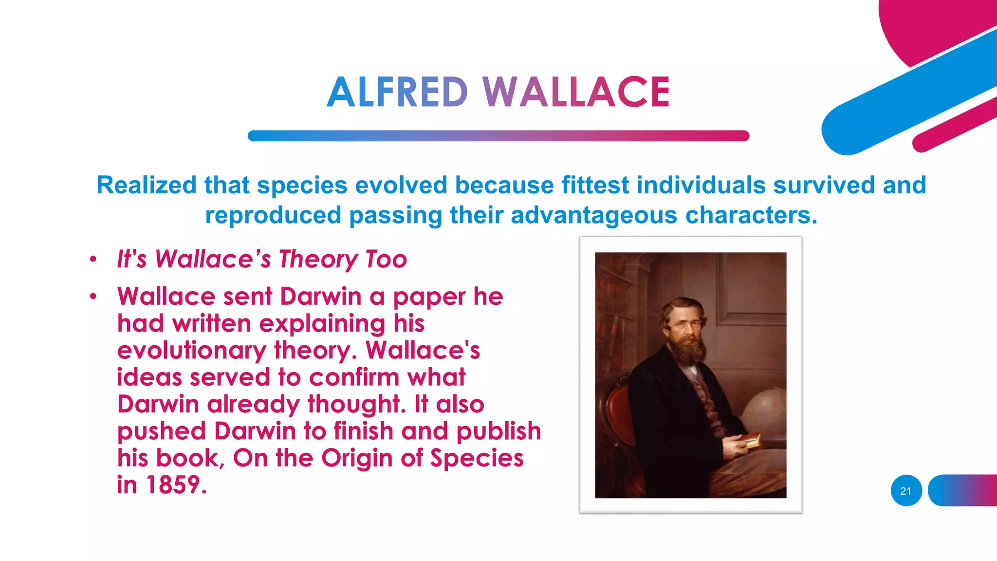 Realized that species evolved because fittest individuals survived and
reproduced passing their advantageous characters.
• It's Wallace’s Theory Too
• Wallace sent Darwin a paper he
had written explaining his
evolutionary theory. Wallace's
ideas served to confirm what
Darwin already thought. It also
pushed Darwin to finish and publish
his book, On the Origin of Species
in 1859. 21
 