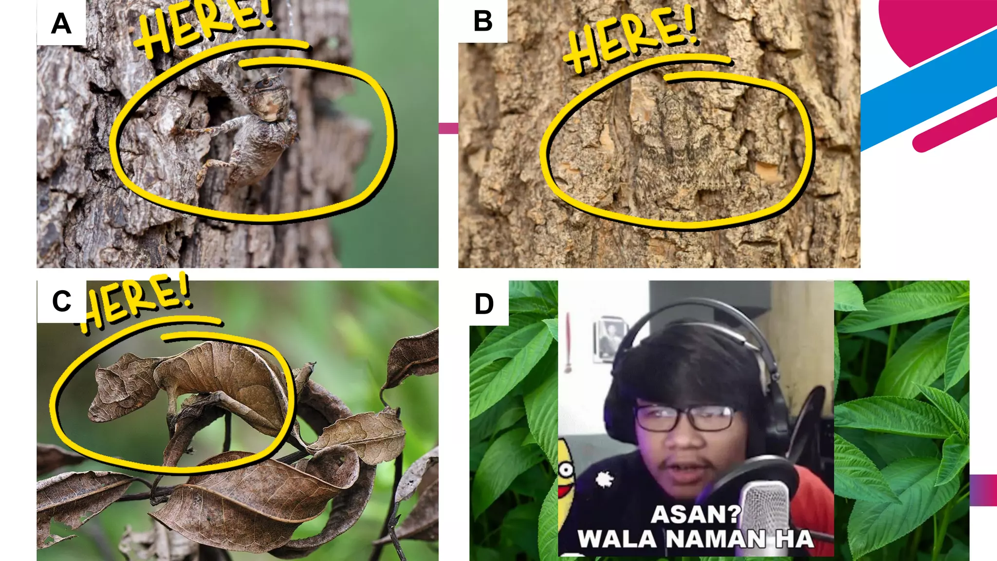 ADD A FOOTER 26
A B
C D
 