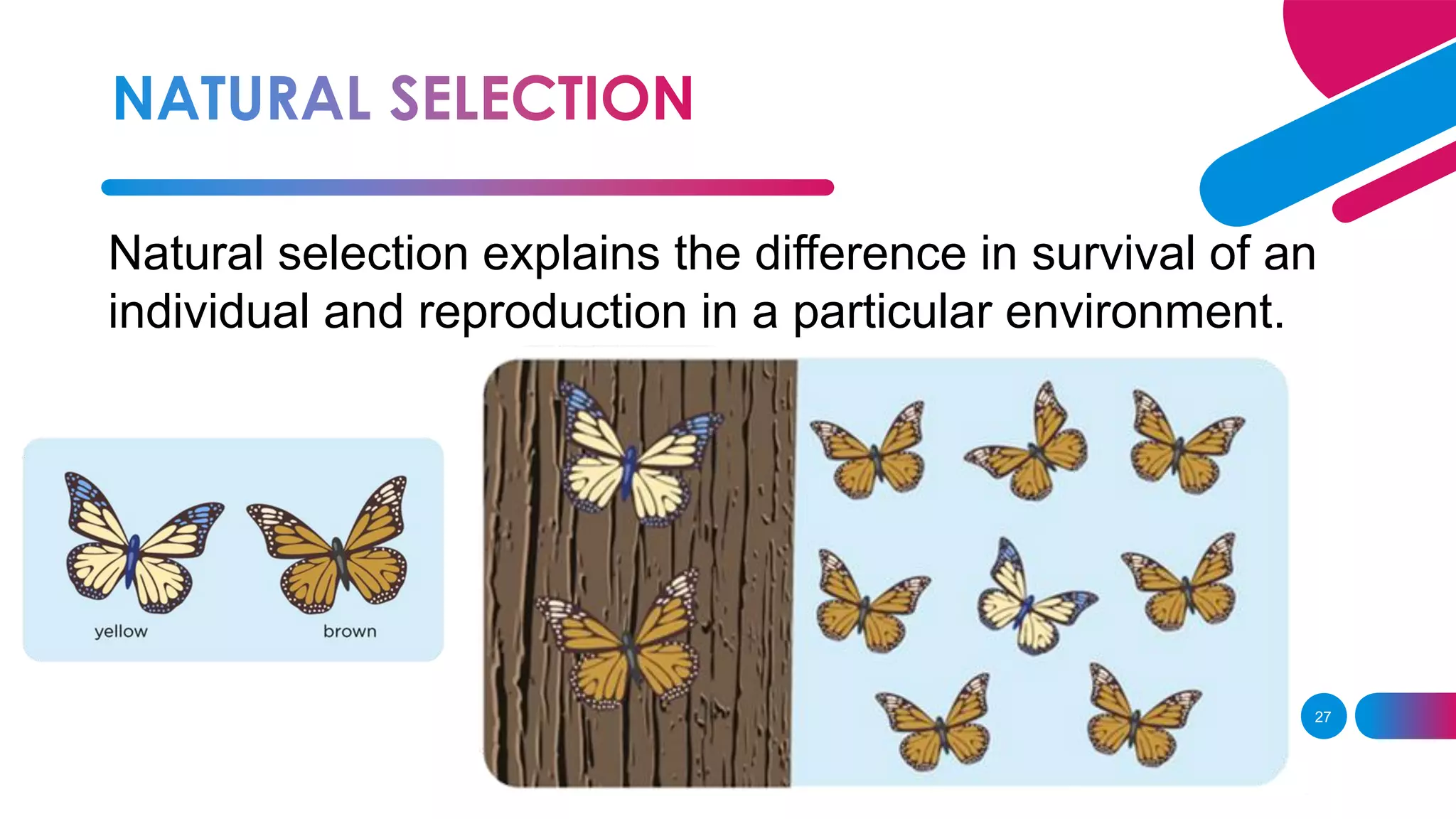 27
Natural selection explains the difference in survival of an
individual and reproduction in a particular environment.
 
