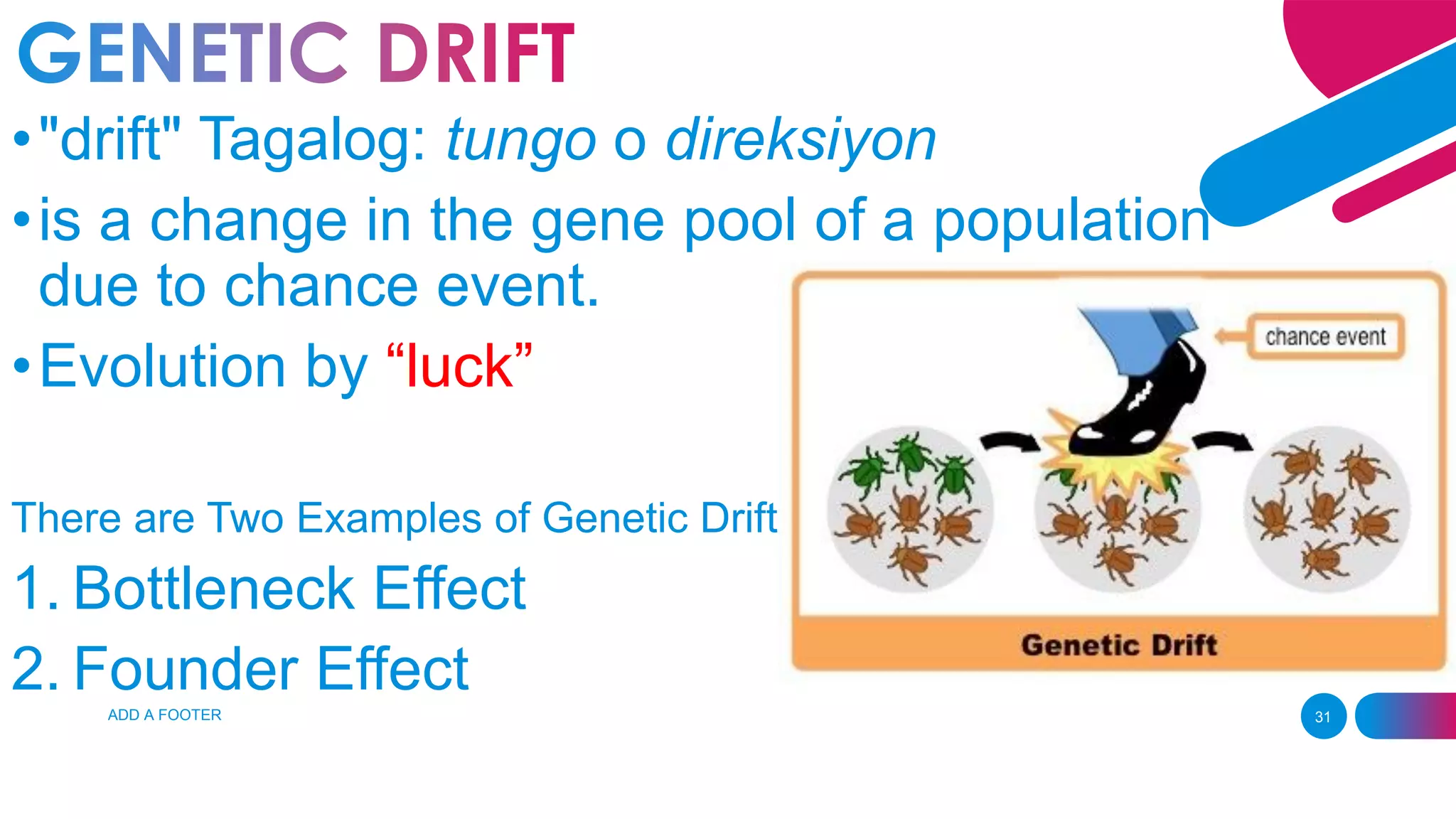 ADD A FOOTER 31
•"drift" Tagalog: tungo o direksiyon
•is a change in the gene pool of a population
due to chance event.
•Evolution by “luck”
There are Two Examples of Genetic Drift
1. Bottleneck Effect
2. Founder Effect
 