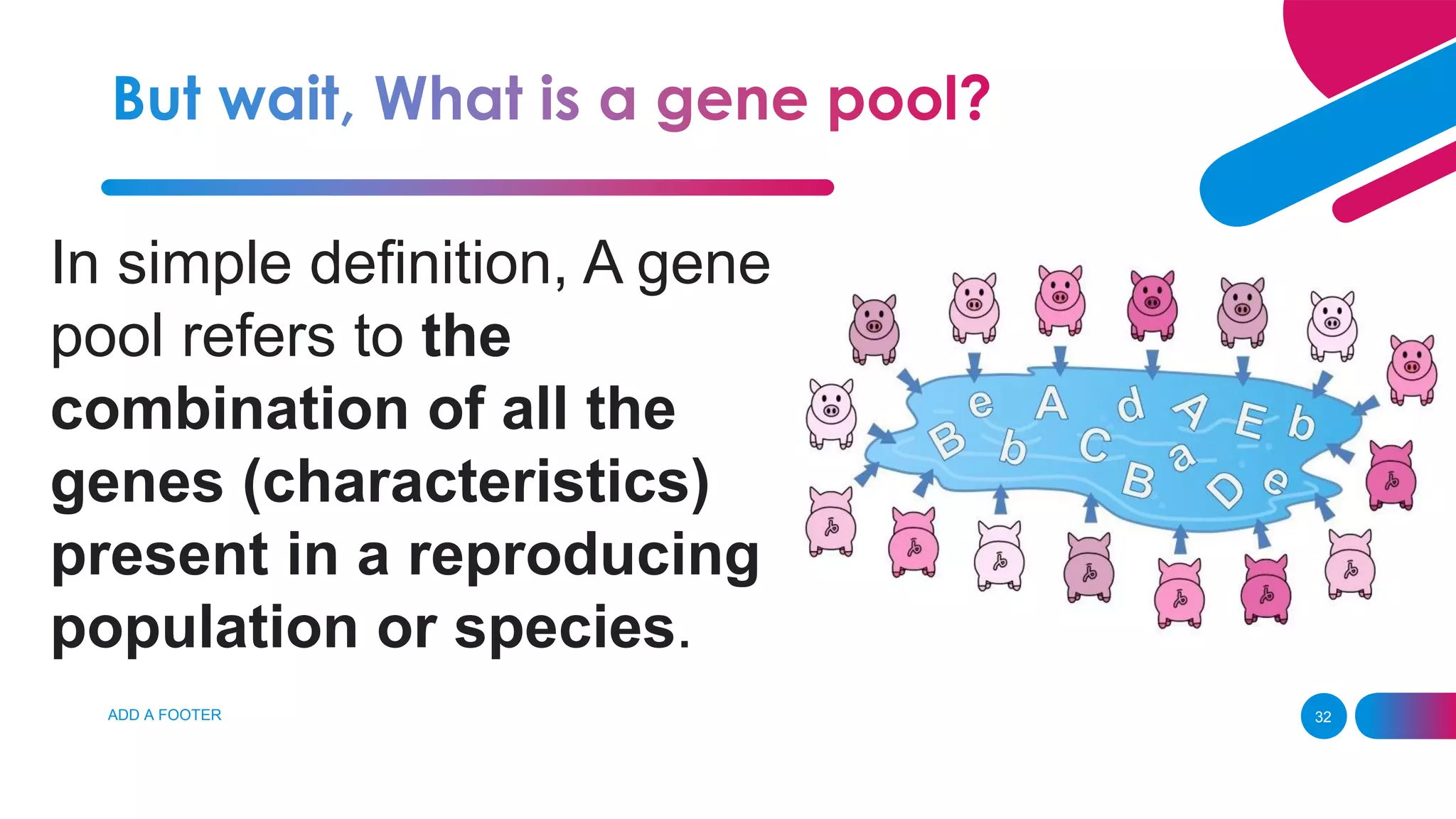 ADD A FOOTER 32
In simple definition, A gene
pool refers to the
combination of all the
genes (characteristics)
present in a reproducing
population or species.
 