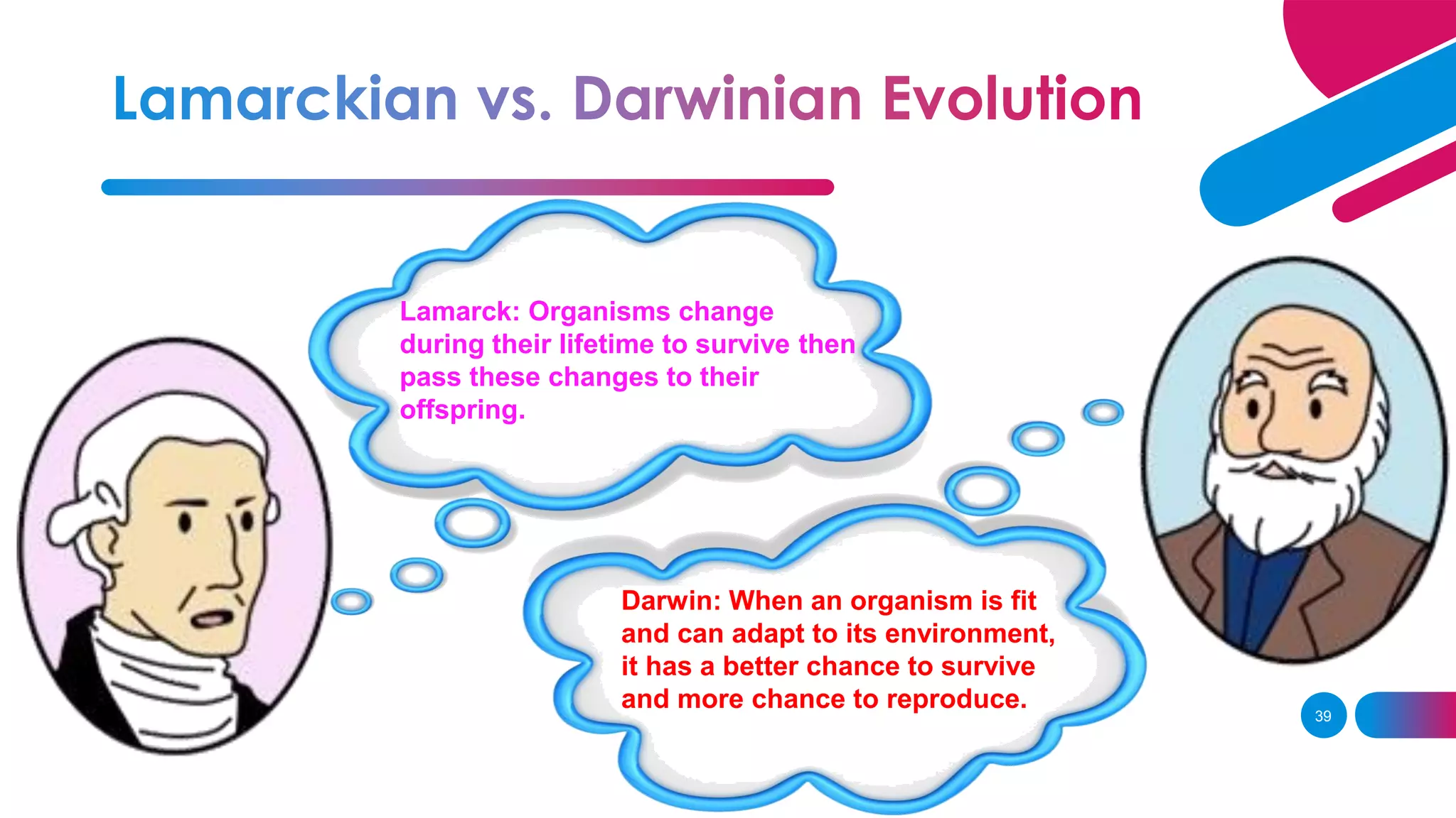 39
Lamarck: Organisms change
during their lifetime to survive then
pass these changes to their
offspring.
Darwin: When an organism is fit
and can adapt to its environment,
it has a better chance to survive
and more chance to reproduce.
 