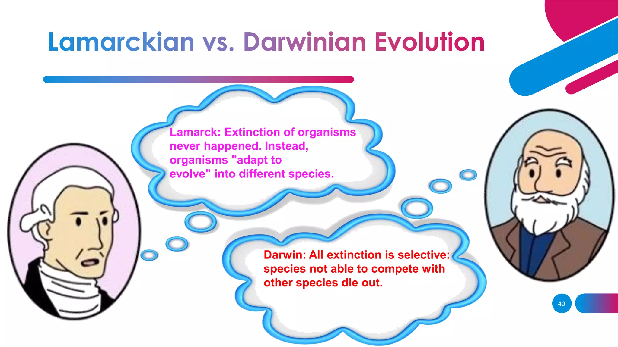 40
Lamarck: Extinction of organisms
never happened. Instead,
organisms "adapt to
evolve" into different species.
Darwin: All extinction is selective:
species not able to compete with
other species die out.
 