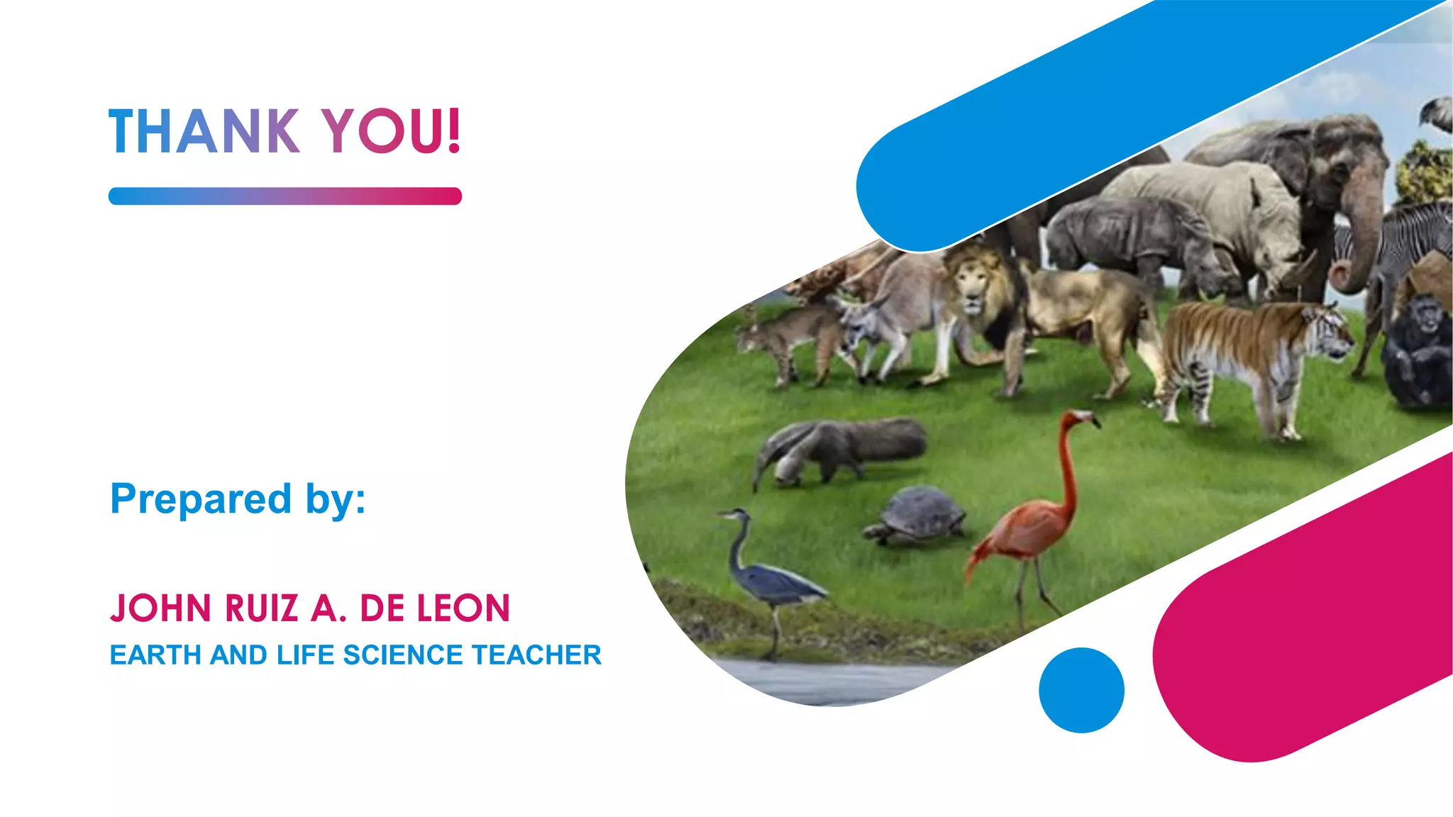 Prepared by:
JOHN RUIZ A. DE LEON
EARTH AND LIFE SCIENCE TEACHER
 