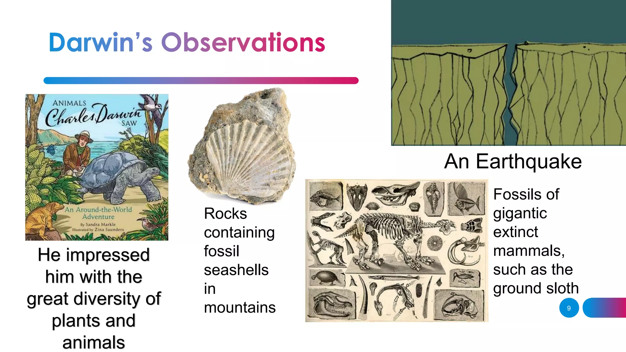 9
He impressed
him with the
great diversity of
plants and
animals
An Earthquake
Rocks
containing
fossil
seashells
in
mountains
Fossils of
gigantic
extinct
mammals,
such as the
ground sloth
 