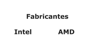 Fabricantes
Intel AMD
 