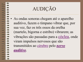 AUDIÇÃO
• As ondas sonoras chegam até o aparelho
  auditivo, fazem o tímpano vibrar que, por
  sua vez, faz os três ossos da orelha
  (martelo, bigorna e estribo) vibrarem; as
  vibrações são passadas para a cóclea, onde
  viram impulsos nervosos que são
  transmitidos ao cérebro pelo nervo
  auditivo.
 